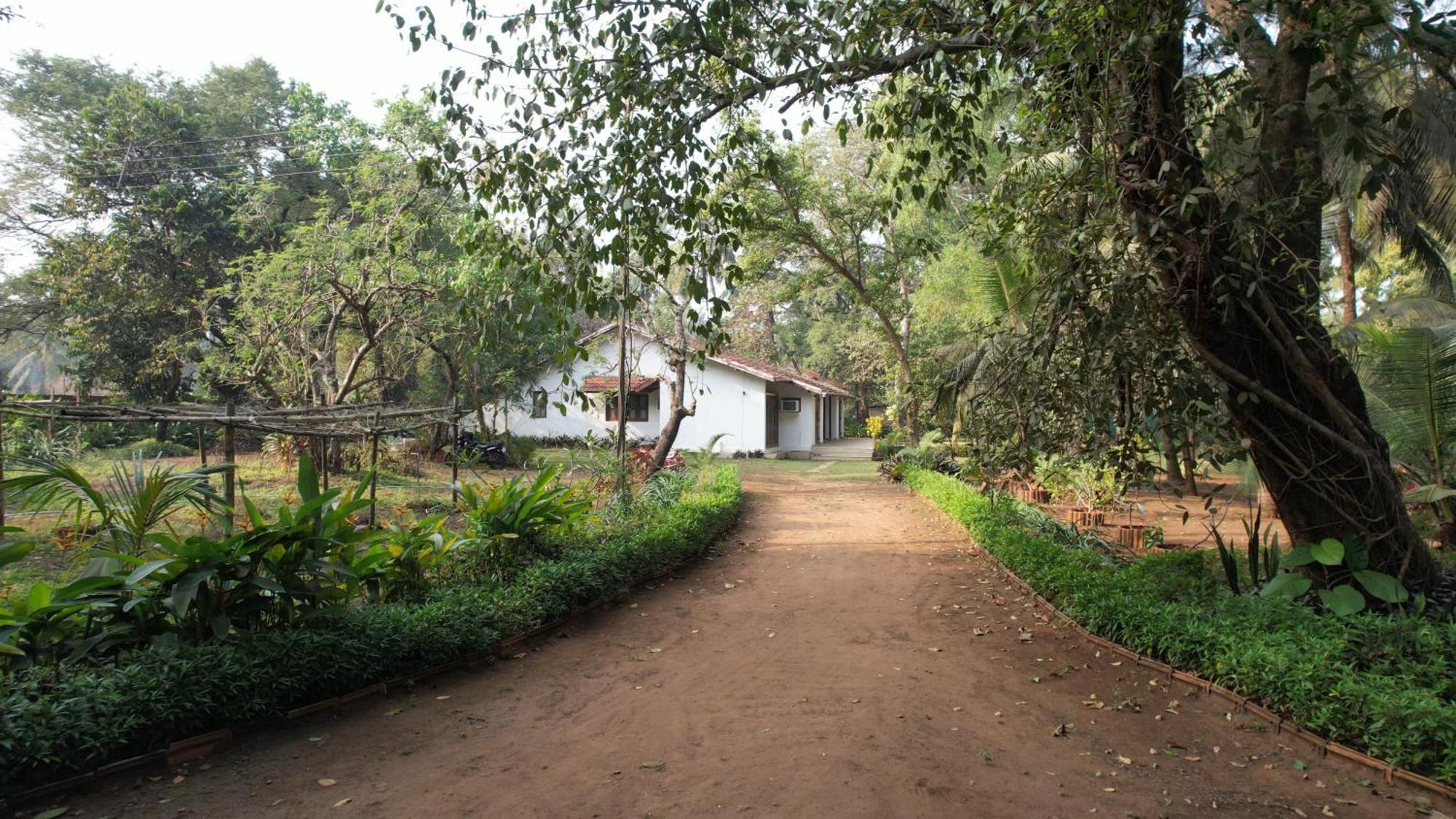 Banyan House - Luxurious 4 Bedroom Villa On One Acre, Near The Beach Nagaon  Extérieur photo