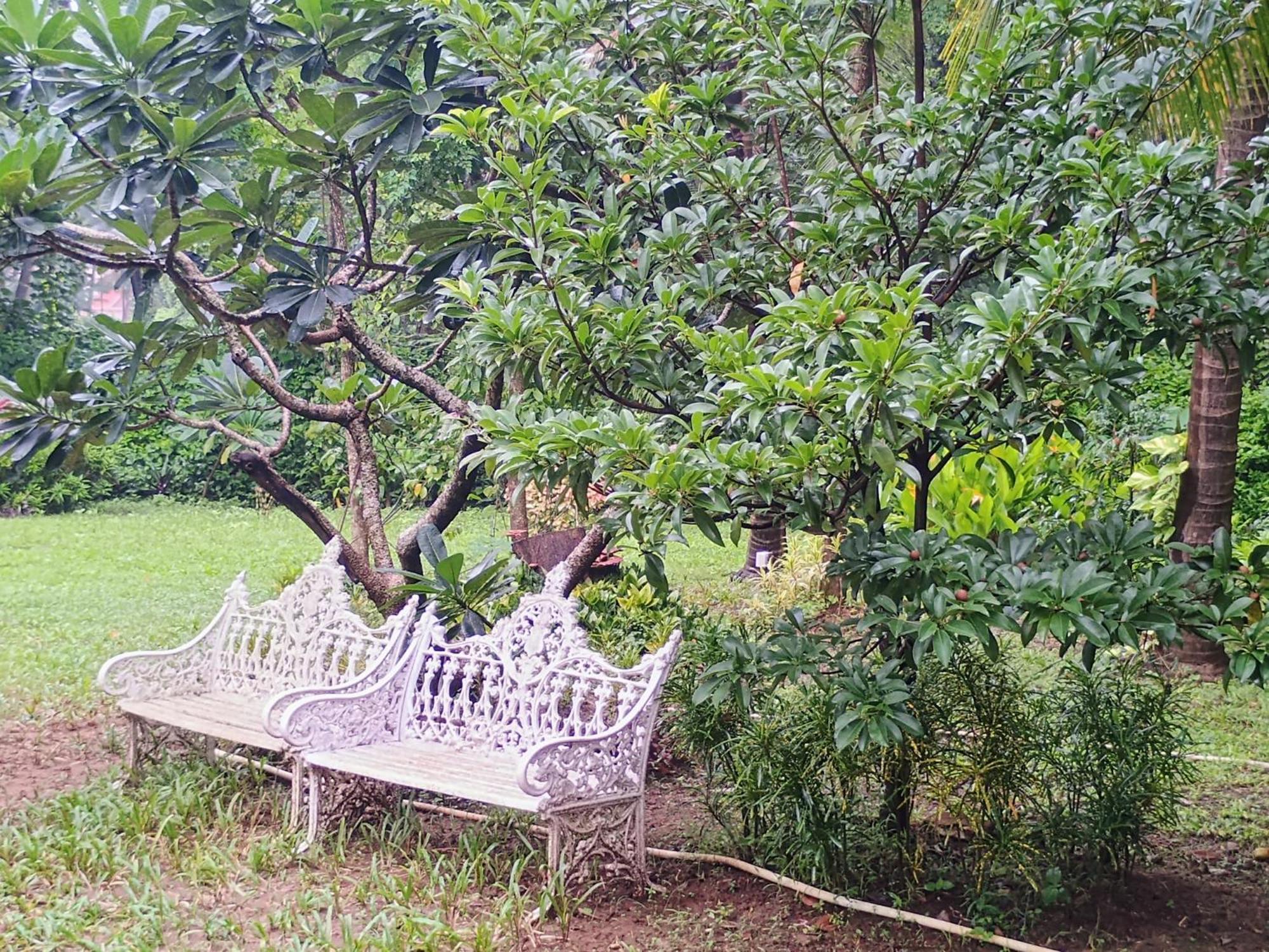 Banyan House - Luxurious 4 Bedroom Villa On One Acre, Near The Beach Nagaon  Extérieur photo